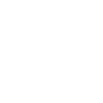 swarovski